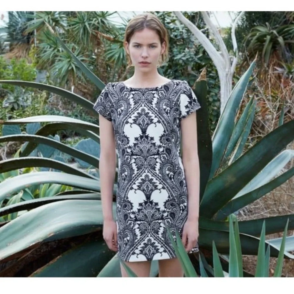 Zara Woman | black & cream | damask | mini | short capped sleeves | XS | dress
